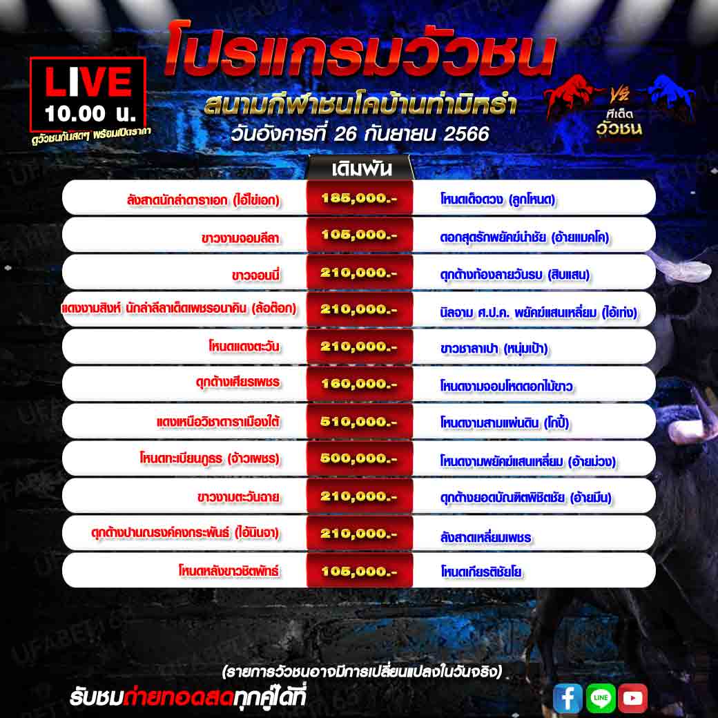 โปรแกรมวัวชน