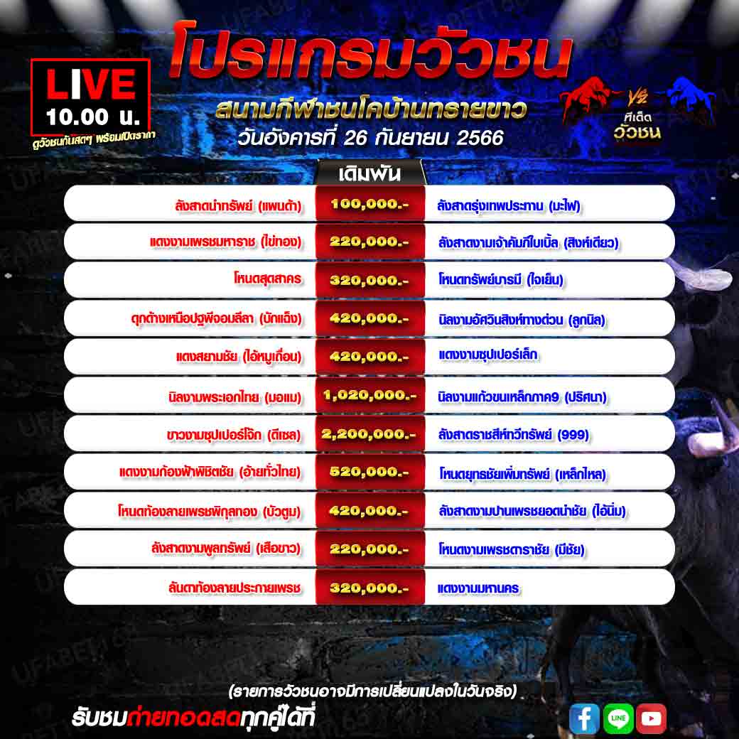 โปรแกรมวัวชน