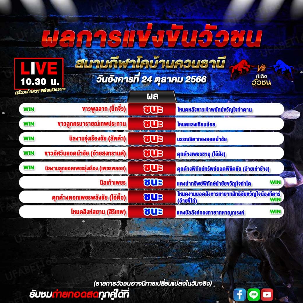 โปรเเกรมวัวชน