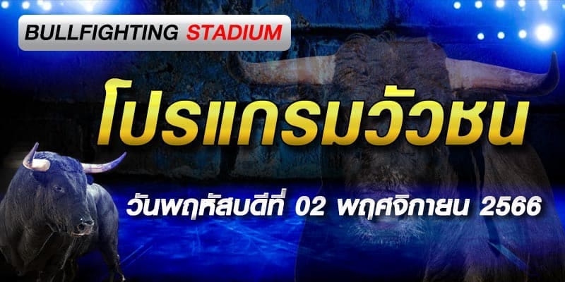 โปรแกรมวัวชน